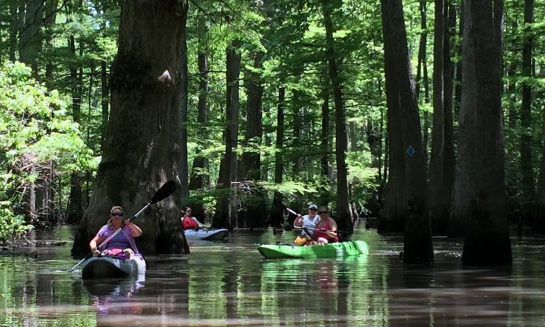 Follow marked signage to navigate Bayou DeView and other water trails in the Delta.